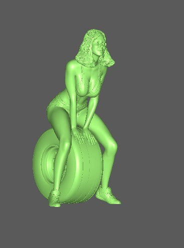 Boxenluder Summer 1:32